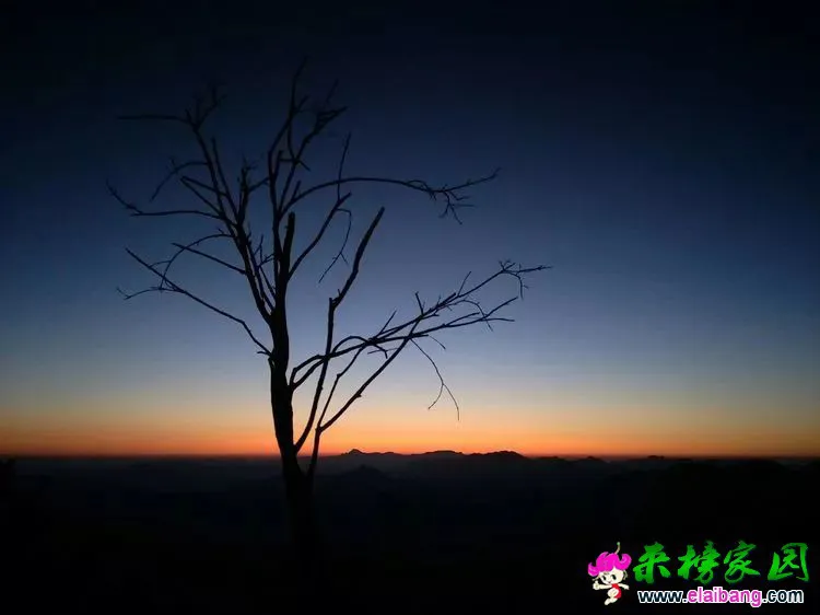 bbd0277d970d6b1437c8c05ee5363912.webp
