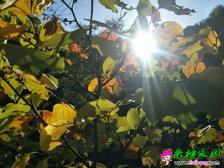 2422151f42666a5872cbd95081d31448.webp