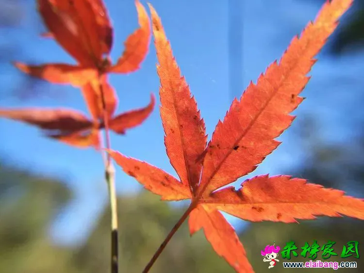 311025894f43951d7a316f4a6dce3921.webp