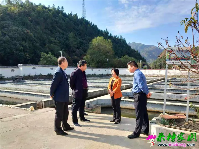微信图片_20191021211508.webp