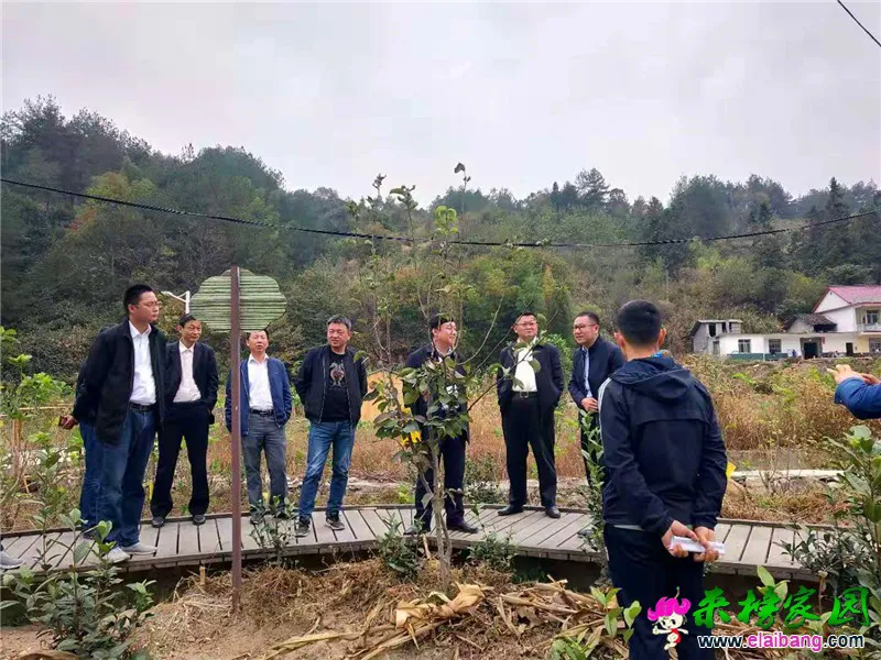 微信图片_20191022193211.webp