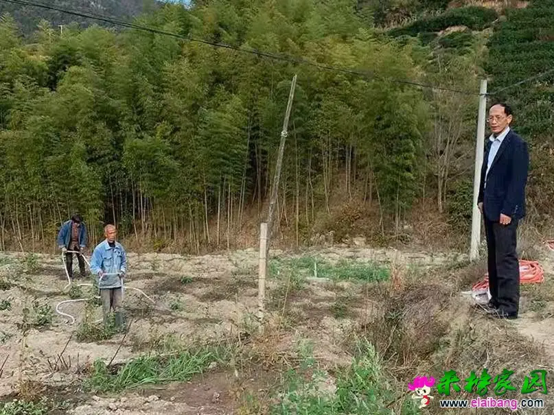 微信图片_20191023171137.webp