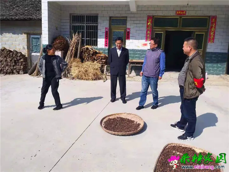 微信图片_20191024164533.webp