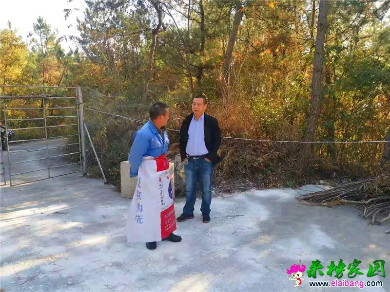 微信图片_20191028203222.webp