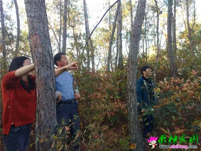 微信图片_20191028203216.webp