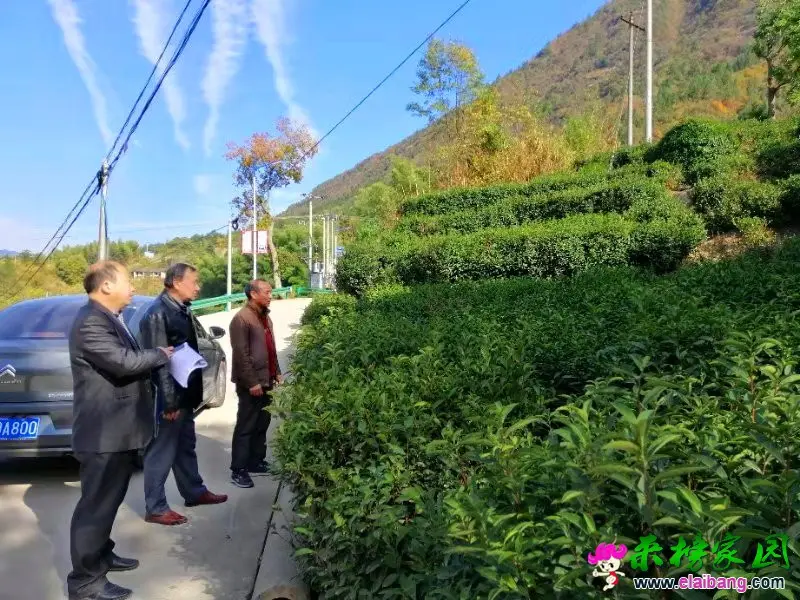 微信图片_20191029213135.webp