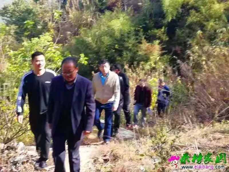 微信图片_20191030191702.webp