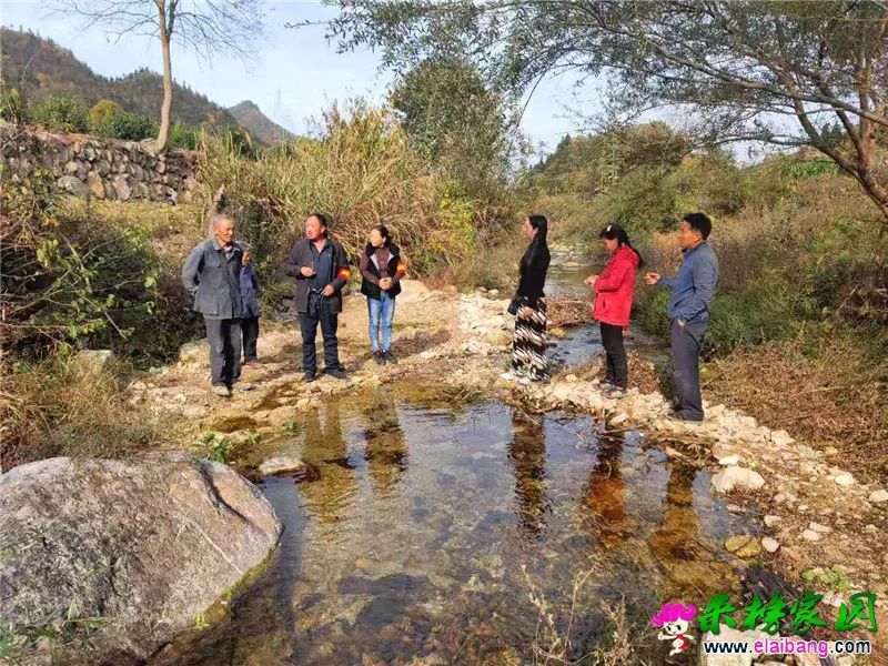微信图片_20191031170831.webp