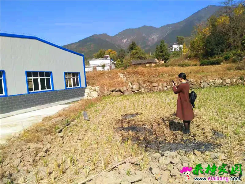 微信图片_20191031170826.webp