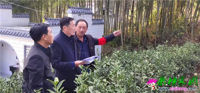 微信图片_20191031170833.webp