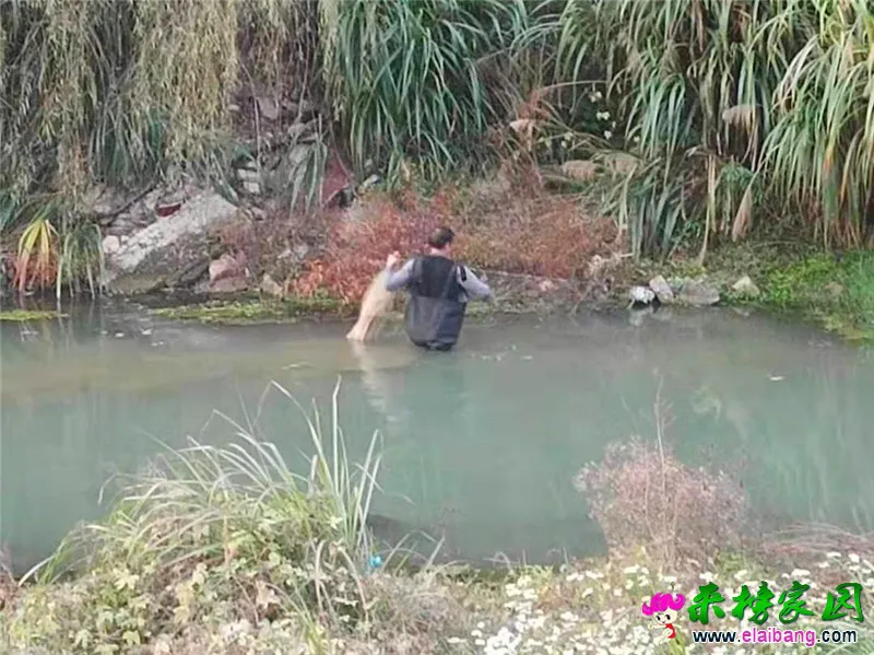 微信图片_20191031194822_副本.webp