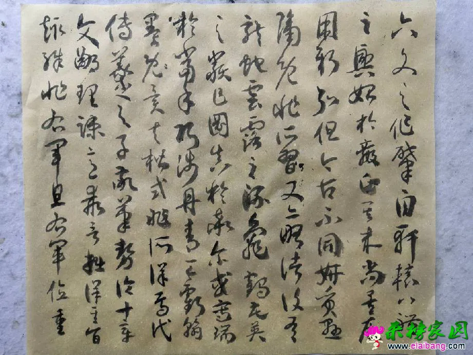 161430f8ym8srx404vlydh.webp