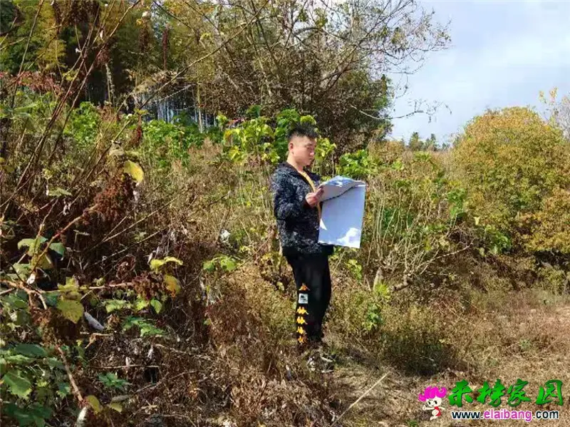 微信图片_20191101220354.webp