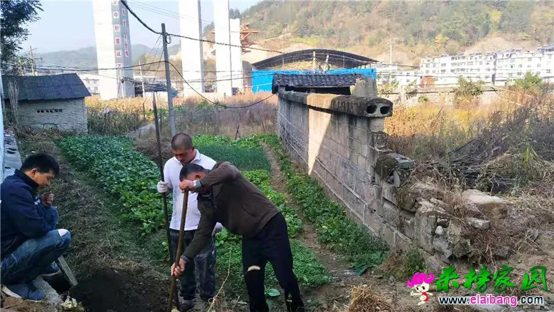 微信图片_20191103193913.webp