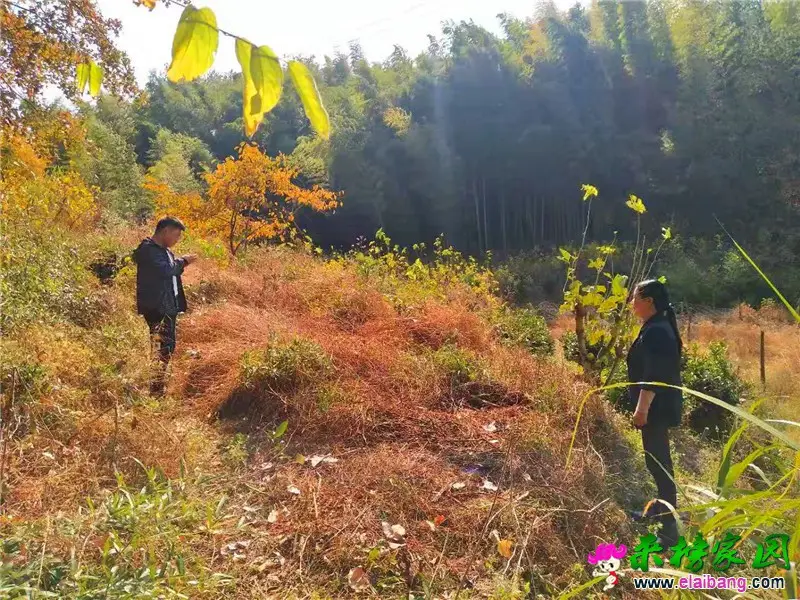 微信图片_20191104205501.webp