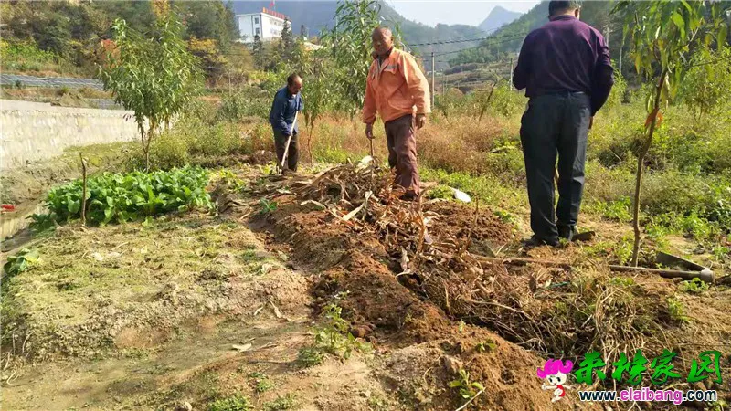 微信图片_20191107200924.webp