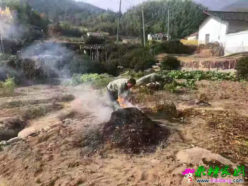 微信图片_20191107201003.webp