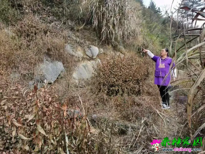微信图片_20191107201249.webp