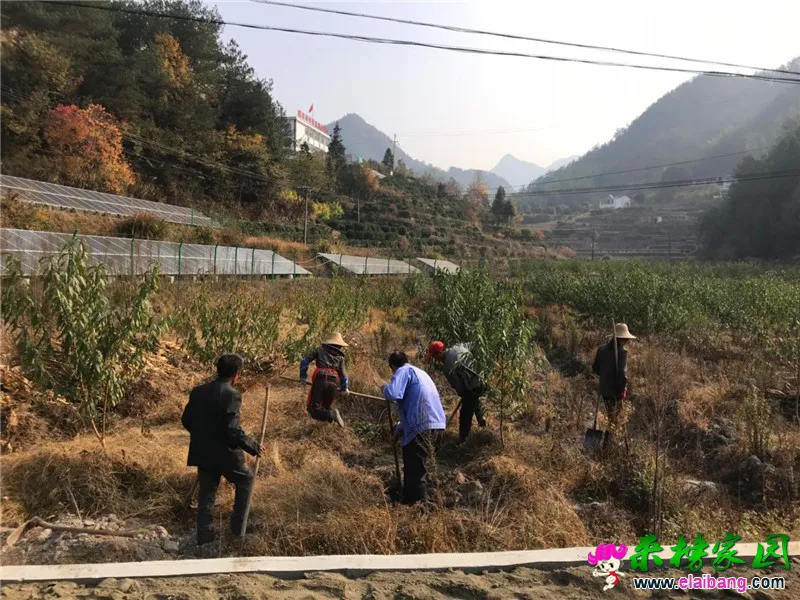 微信图片_20191108195501.webp