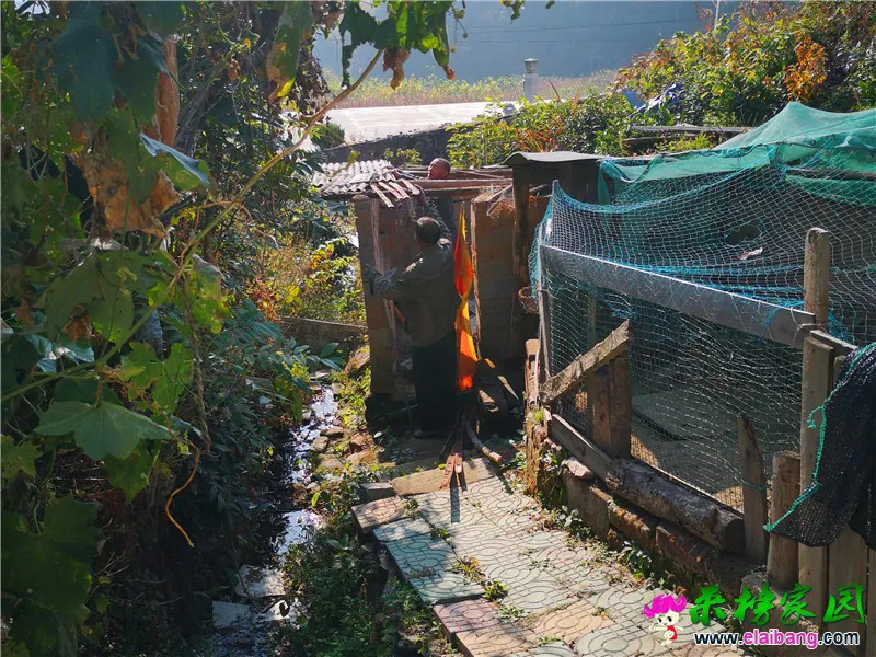 微信图片_20191109220620.webp