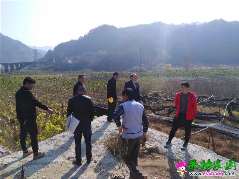 微信图片_20191109220636.webp