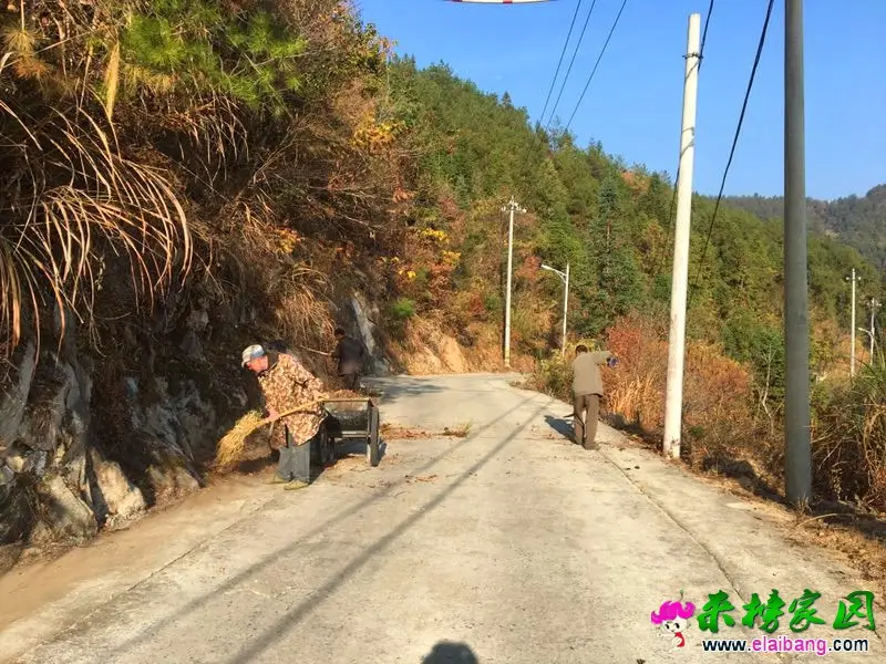微信图片_20191110203815.webp