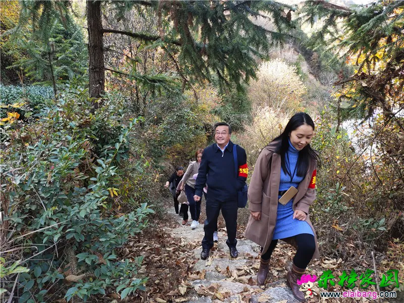 微信图片_20191111173121.webp