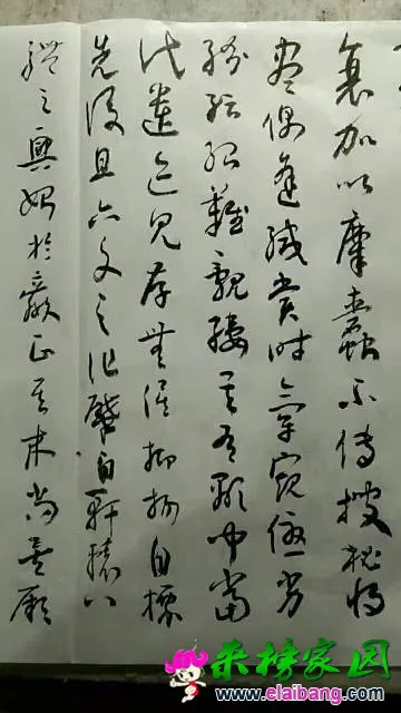 055648gliptei8ievptyxl.webp