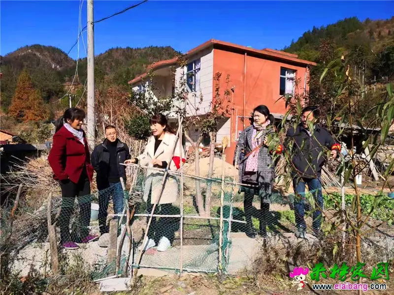 微信图片_20191120231318.webp