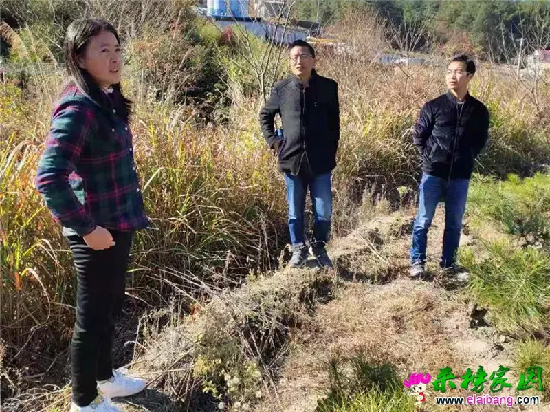 微信图片_20191120231313.webp