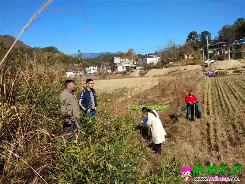 微信图片_20191120231320.webp