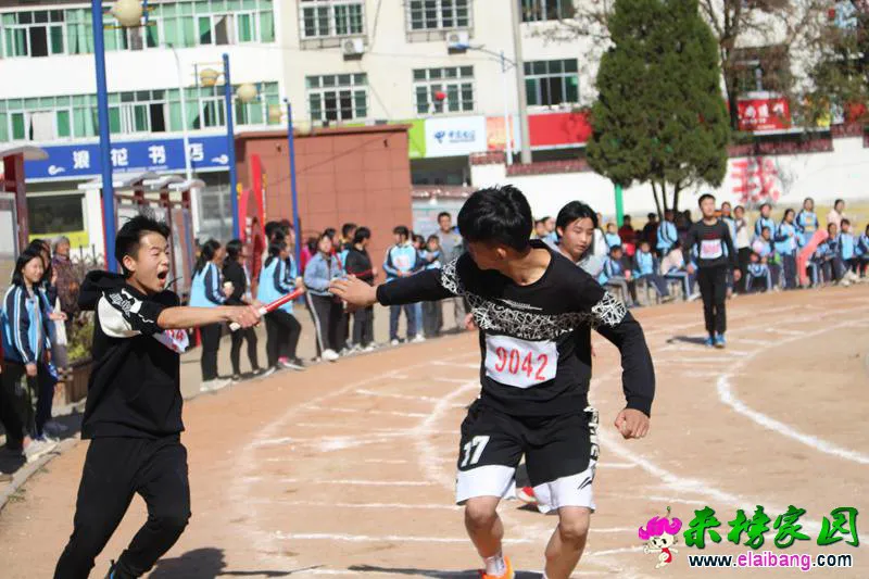 20191122024530297.webp
