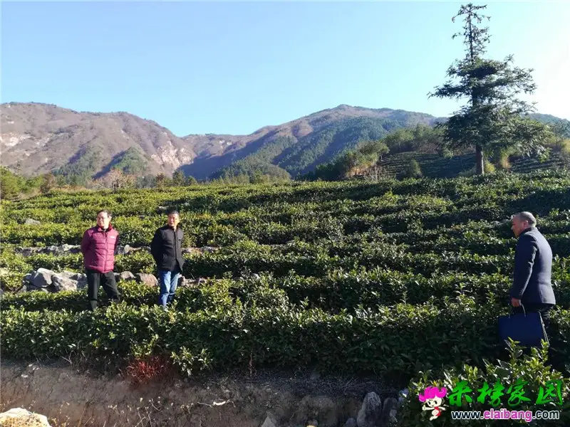 微信图片_20191122215126.webp