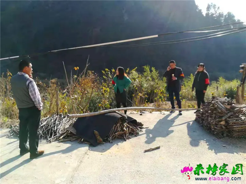 微信图片_20191123230426.webp