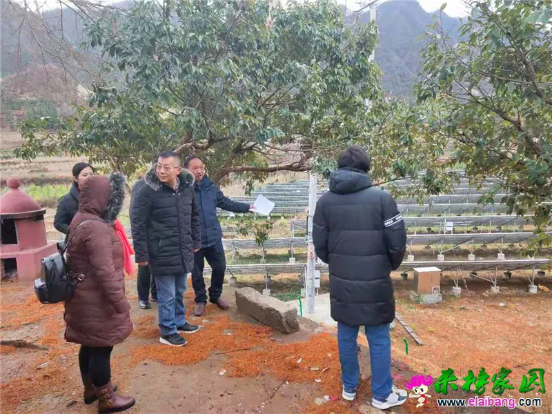 微信图片_20191127225822.webp