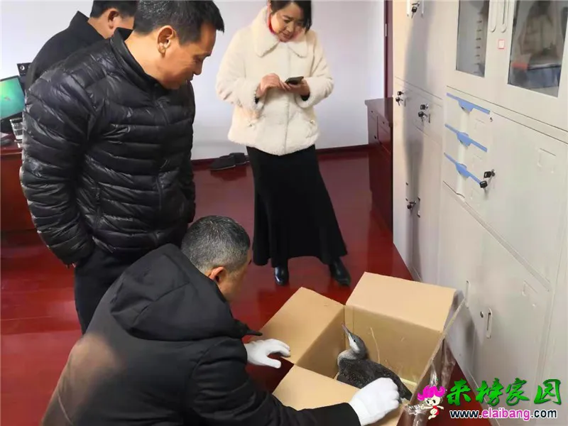 微信图片_20191202162433.webp