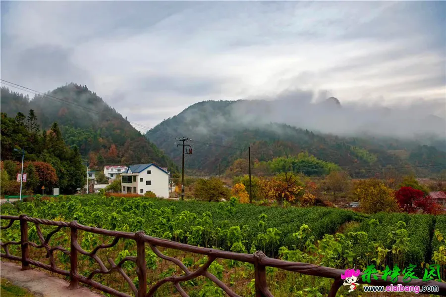 微信图片_20191209212718.webp