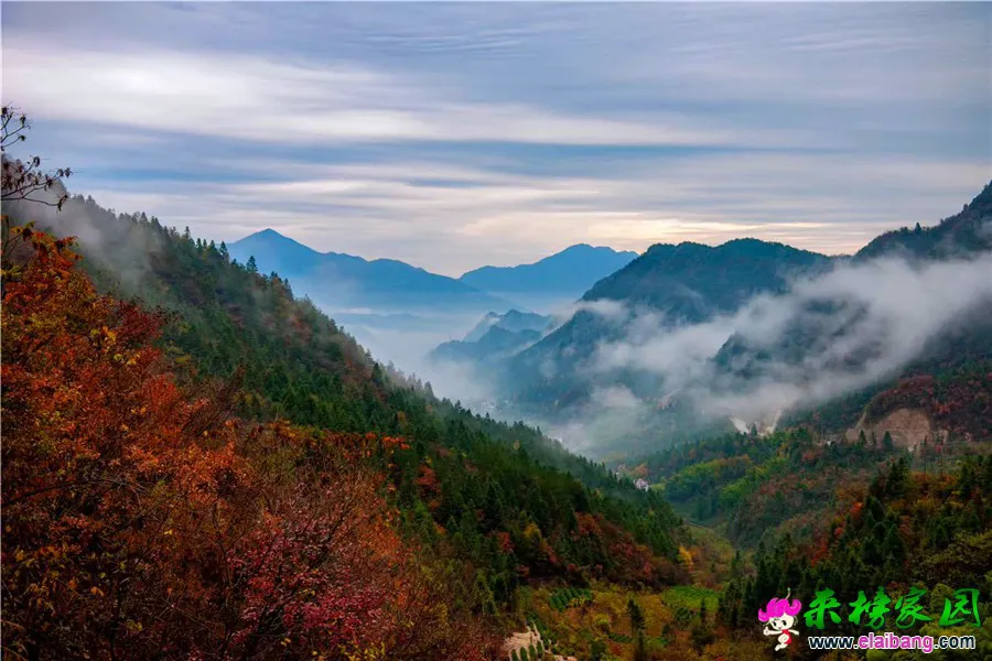 微信图片_20191209212708.webp