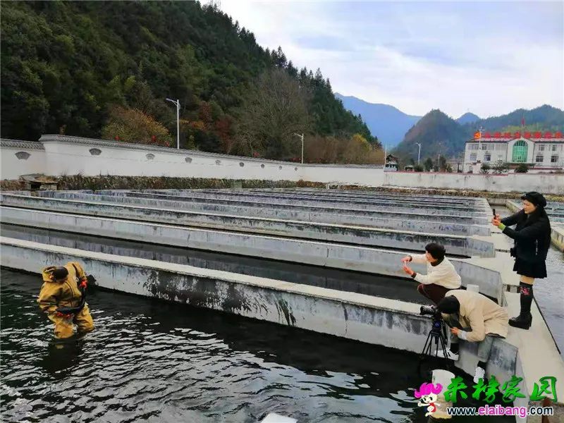 微信图片_20191210203042.webp