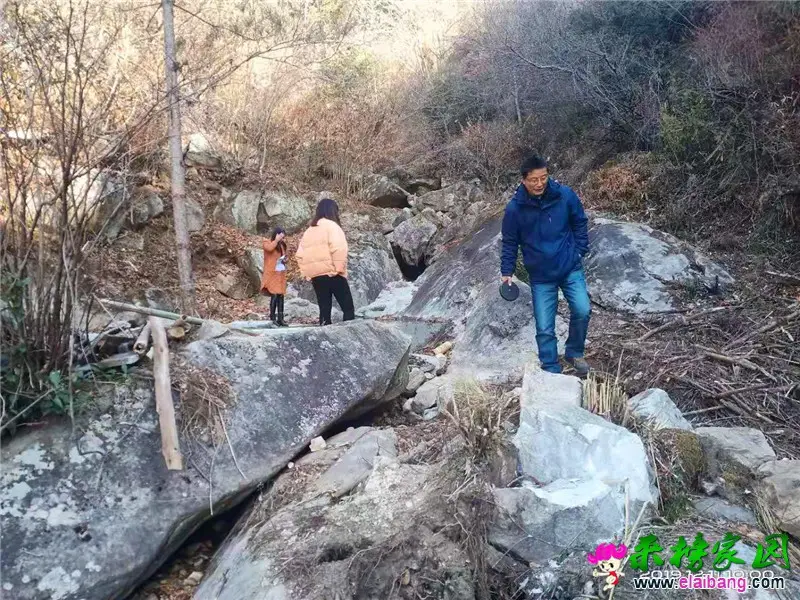 微信图片_20191211201452.webp