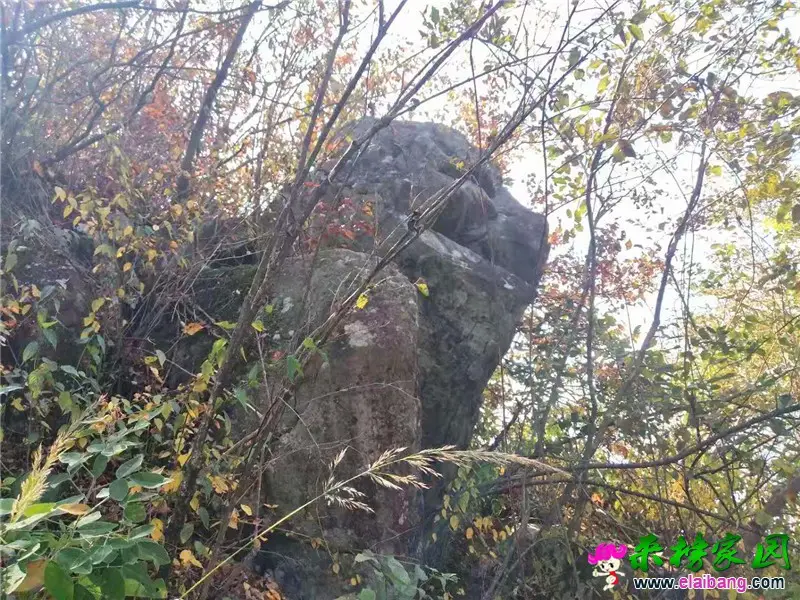 微信图片_20191211205419.webp