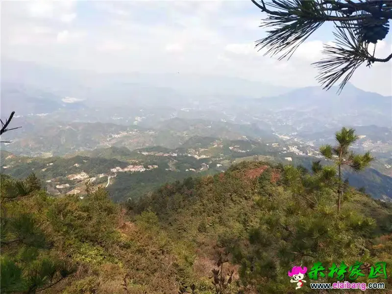 微信图片_20191211205428.webp