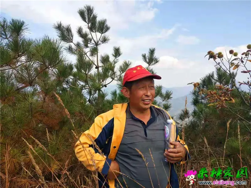微信图片_20191211205431.webp