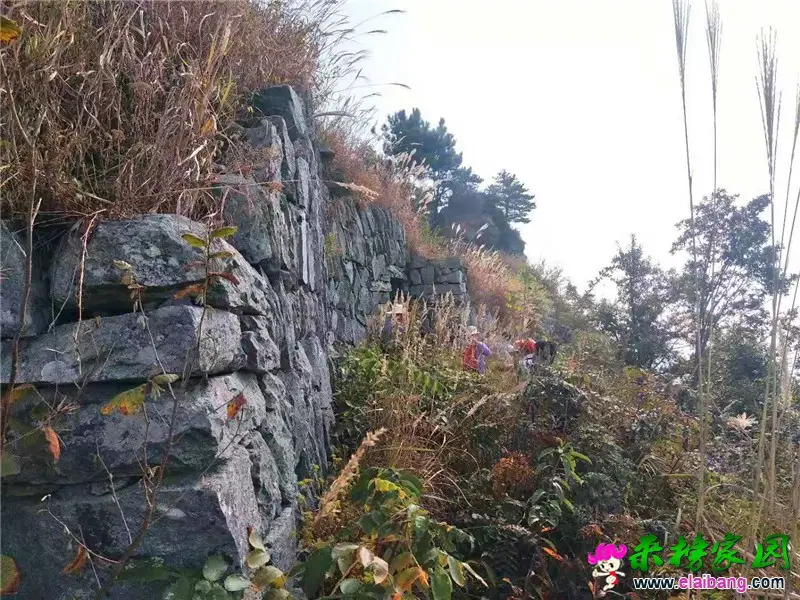 微信图片_20191211205434.webp