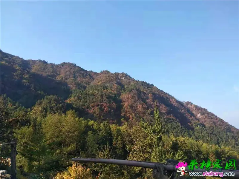 微信图片_20191211205436.webp