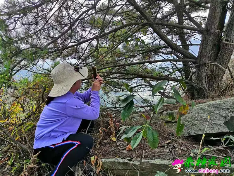 微信图片_20191211205822.webp