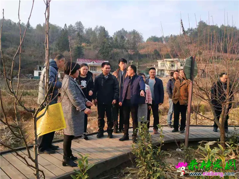 微信图片_20191212205904.webp