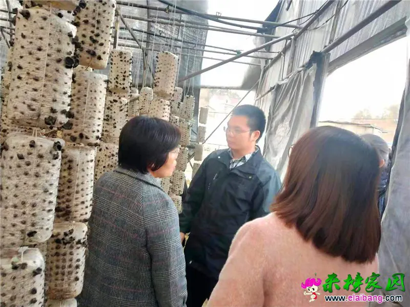 微信图片_20191212205907.webp
