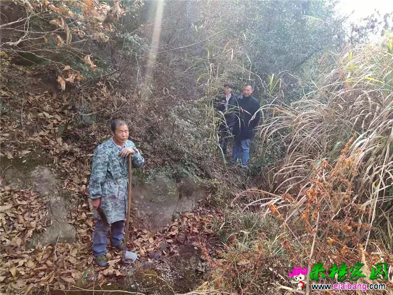 微信图片_20191214201807.webp