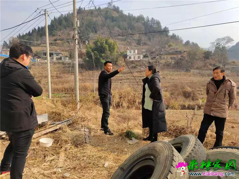 微信图片_20191216202559.webp